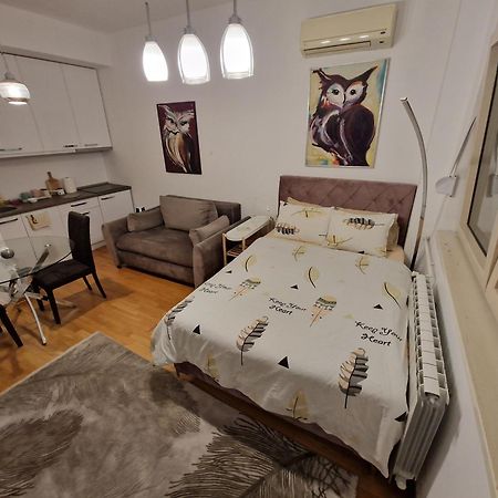 Owl Apartment Belgrad Exterior foto