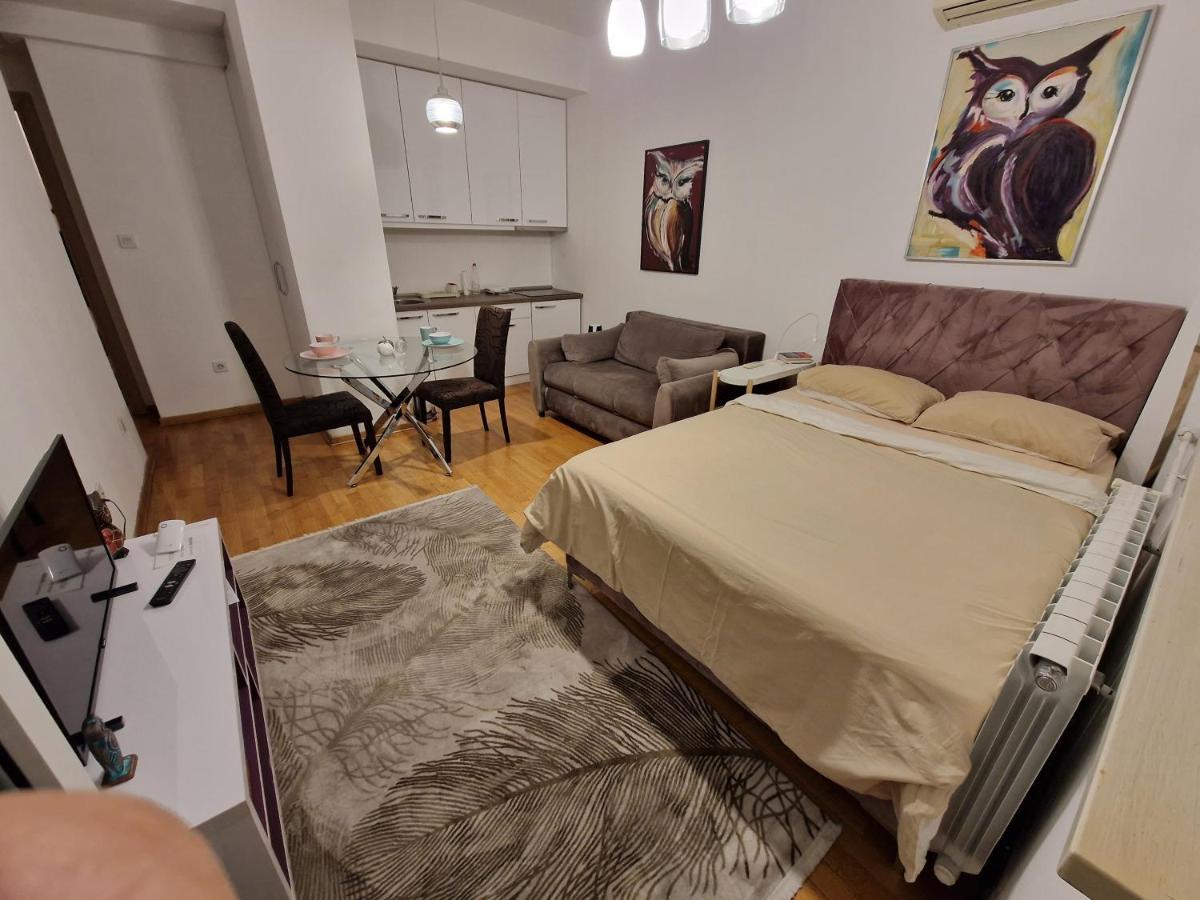 Owl Apartment Belgrad Exterior foto